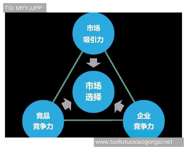 聚焦国家队发展与国际竞争力提升的战略路径与未来展望 聚焦国家队发展与国际竞争力提升的战略路径与未来展望