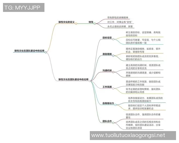 以对抗性为核心，探索现代社会中的冲突与协作关系及其影响