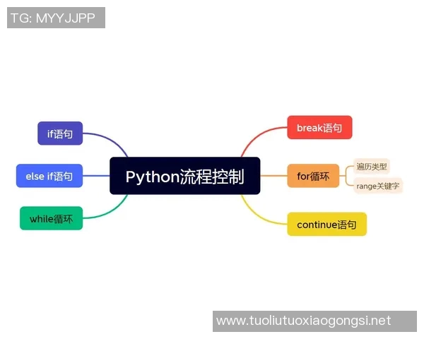 西安飞盘队的战术解析与控制体系探讨