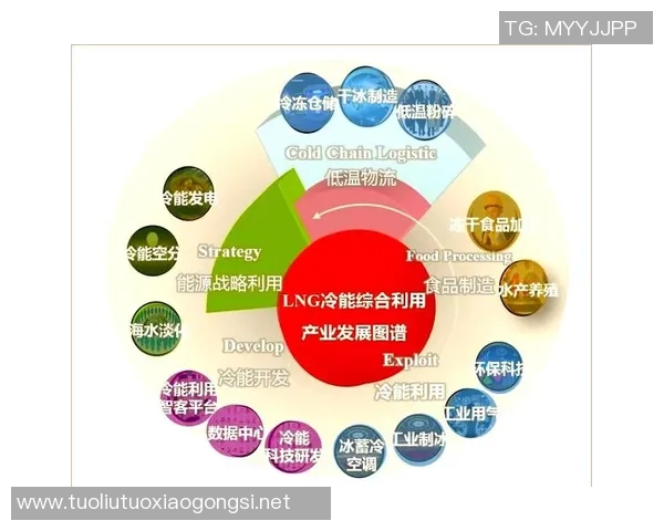 赛后分析:LNG与V5实力对比及未来发展趋势探讨 赛后分析:LNG与V5实力对比及未来发展趋势探讨